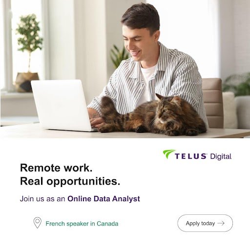 Online Data Analyst - French speakers in Canada